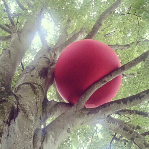 bollitrad